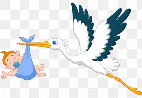 Royalty-free Infant PNG