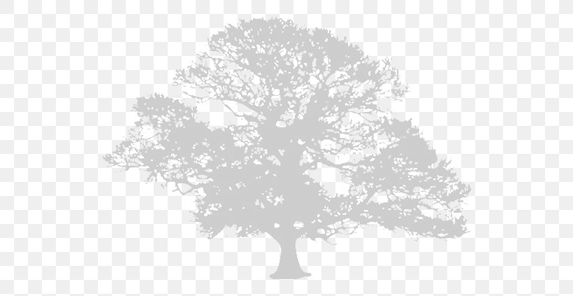 Tree The Europa World Of Learning 2018 Book Training, PNG, 603x423px, Tree, Black And White, Book, Branch, Business Download Free