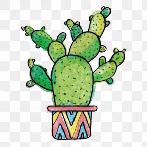 Prickly Pear Plant - Watercolor Tree PNG