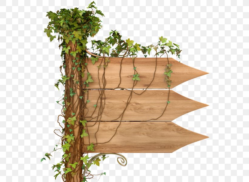 Desktop Wallpaper Wood, PNG, 600x600px, Paper, Branch, Flora, Floral Design, Flowerpot Download Free