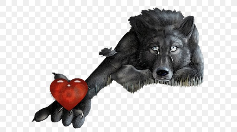 Lone Wolf Broken Heart Love, PNG, 640x456px, Wolf, Animal, Broken Heart, Carnivoran, Dog Breed Download Free