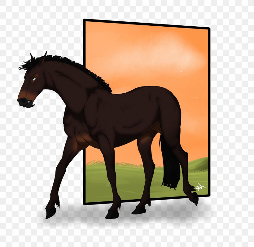 Mane Foal Pony Mustang Stallion, PNG, 1600x1556px, Mane, Art, Bridle, Colt, Deviantart Download Free