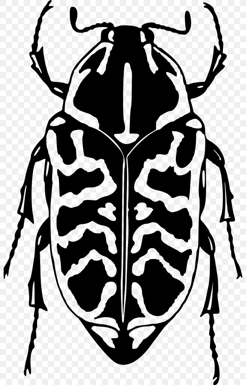 Beetle Ladybird, PNG, 796x1280px, Beetle, Animal, Black And White, Drawing, Fictional Character Download Free
