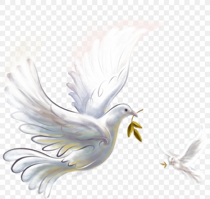 Epicenter Of Peace Doves As Symbols Clip Art, PNG, 1083x1024px, Epicenter Of Peace, Art, Beak, Bird, Bird Of Prey Download Free