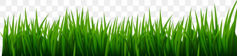 Golf Course Lawn Clip Art, PNG, 8000x1906px, Golf, Chrysopogon Zizanioides, Golf Balls, Golf Clubs, Golf Course Download Free