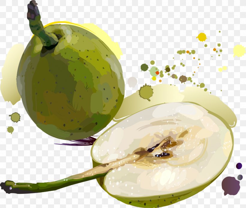 Golden Fruit Asian Pear Illustration, PNG, 993x838px, Asian Pear, Apple, Cartoon, Diet Food, Drawing Download Free