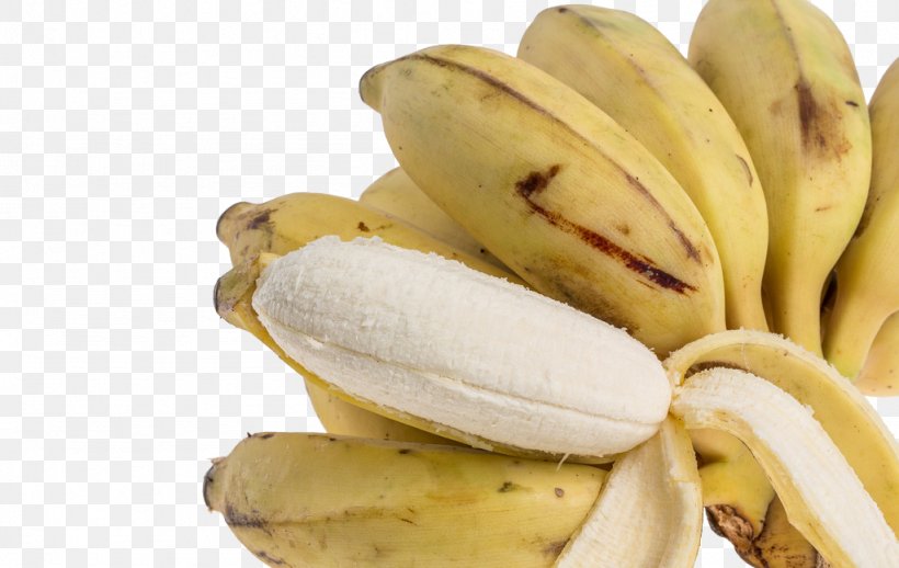 Banana Flavored Milk Saba Banana, PNG, 1024x647px, Banana Flavored Milk, Banana, Banana Family, Cooking Banana, Cooking Plantain Download Free