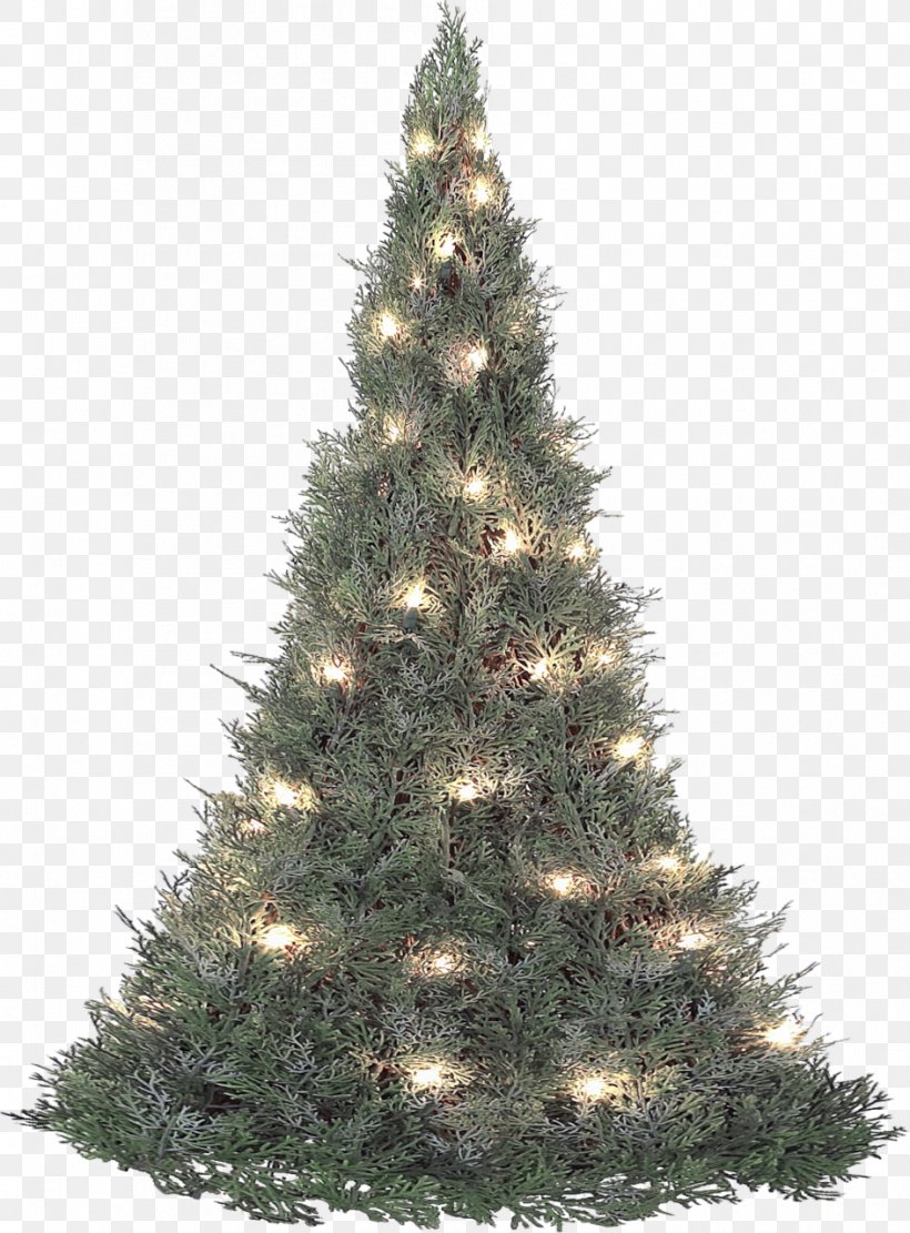 Boston Christmas Tree Fir Pine, PNG, 944x1280px, Christmas Tree, Boston, Christmas, Christmas And Holiday Season, Christmas Decoration Download Free