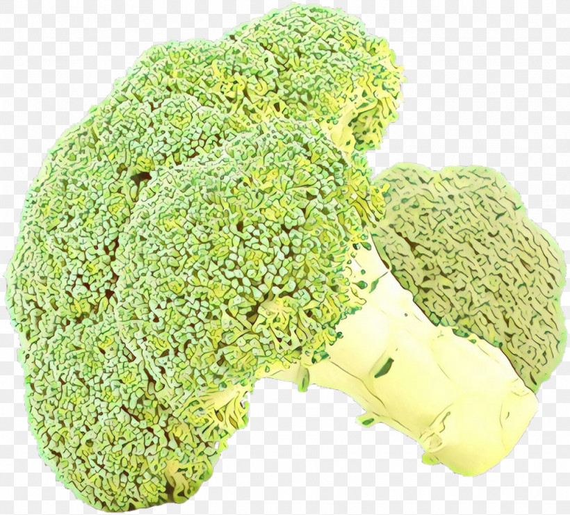 Broccoli Leaf Vegetable Food Wild Cabbage Plant, PNG, 1024x926px, Broccoli, Cabbage, Food, Leaf Vegetable, Plant Download Free