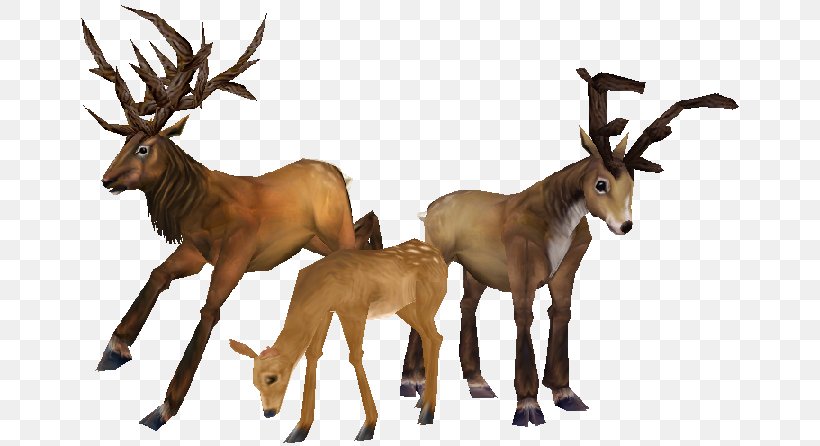 Reindeer Red Deer, PNG, 665x446px, Reindeer, Antler, Channel, Deer, Elk Download Free