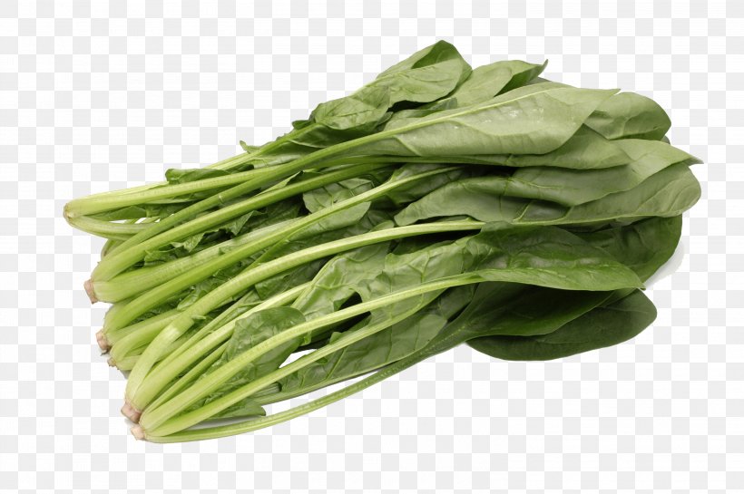 Spinach Vegetable Food Chinese Cabbage Cucumber, PNG, 3008x2000px, Spinach, Broccoli, Cabbage, Carrot, Chinese Cabbage Download Free