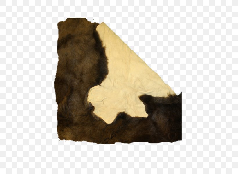 American Bison Montrail Plains Hide Painting Fur, PNG, 600x600px, American Bison, All Rights Reserved, Bison, Blanket, Carnivora Download Free