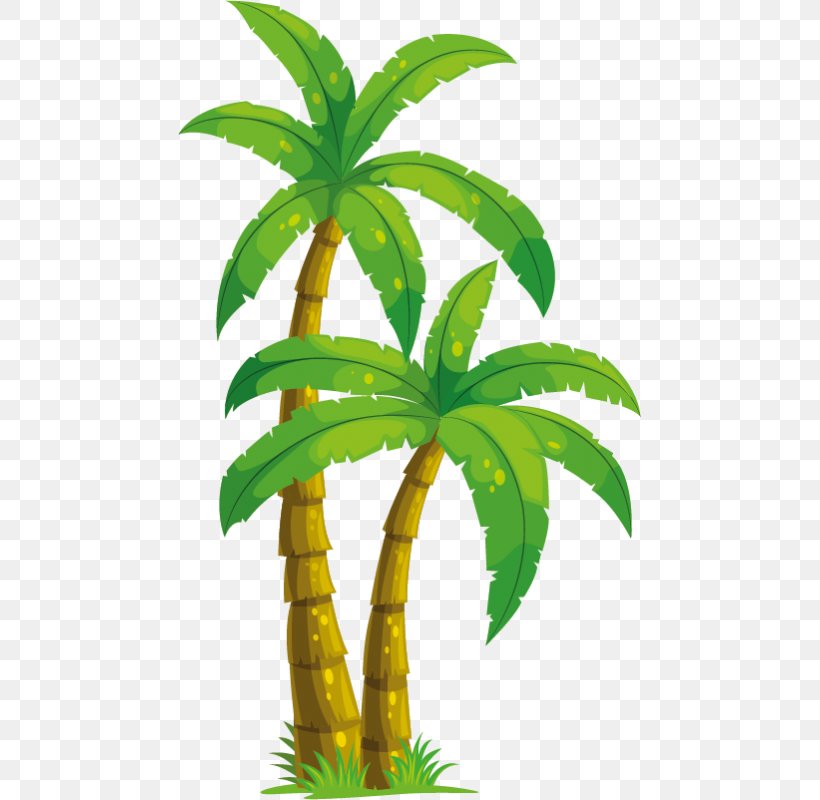 Arecaceae Coconut Drawing Clip Art, PNG, 800x800px, Arecaceae, Arecales, Coconut, Drawing, Flowerpot Download Free