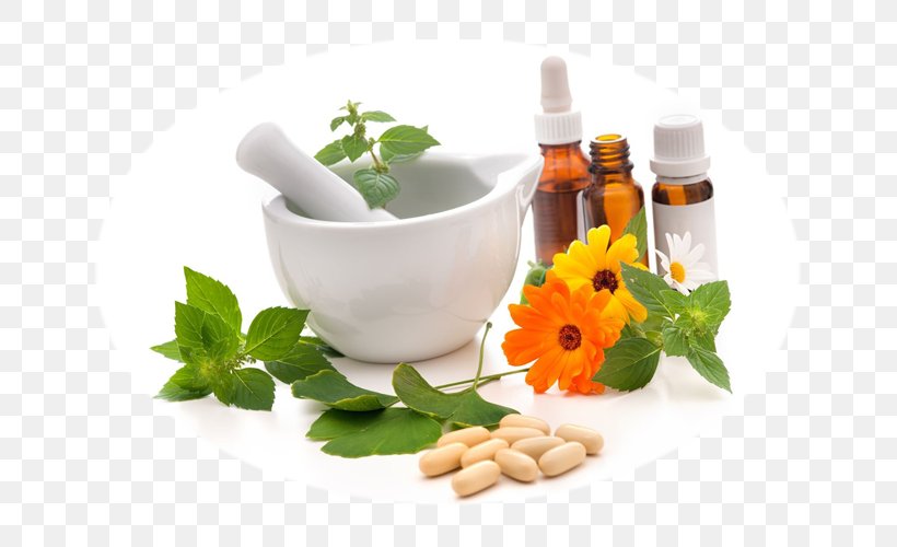 Ayurveda Medicine Therapy Alternative Health Services Naturopathy, PNG, 650x500px, Ayurveda, Acupuncture, Alternative Health Services, Cure, Disease Download Free