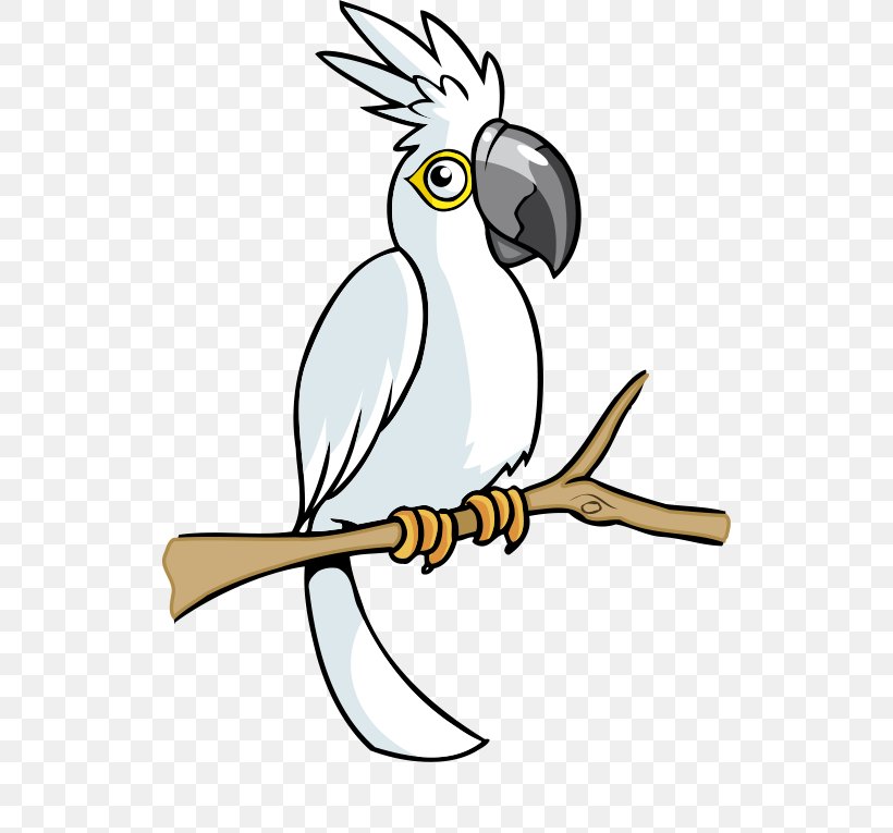 Bird Cockatoo Clip Art, PNG, 591x765px, Bird, Art, Artwork, Beak, Branch Download Free