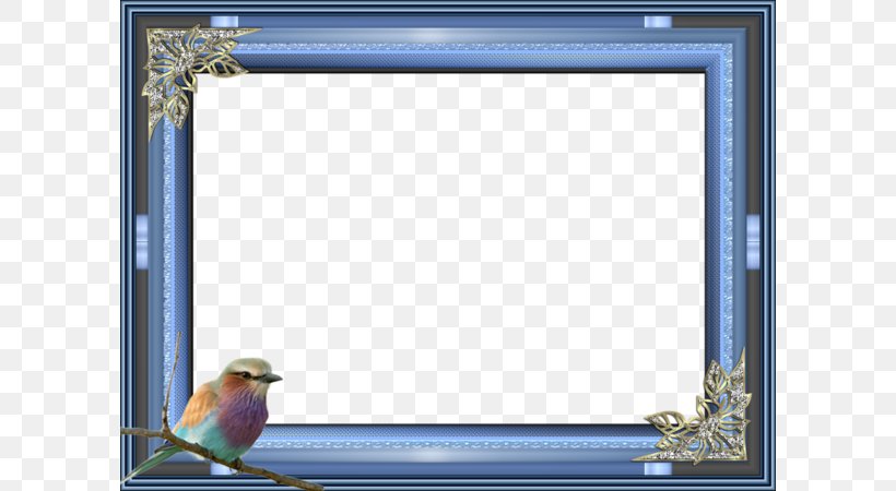 Bird Picture Frame Blue Photography, PNG, 600x450px, Bird, Animation, Blue,  Board Game, Color Download Free