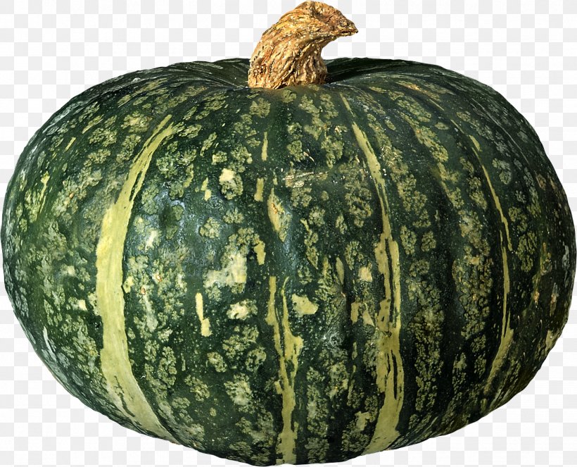 Figleaf Gourd Pumpkin Calabaza Cucurbita Pepo, PNG, 1338x1082px, Kabocha, Butternut Squash, Calabaza, Commodity, Cucumber Download Free
