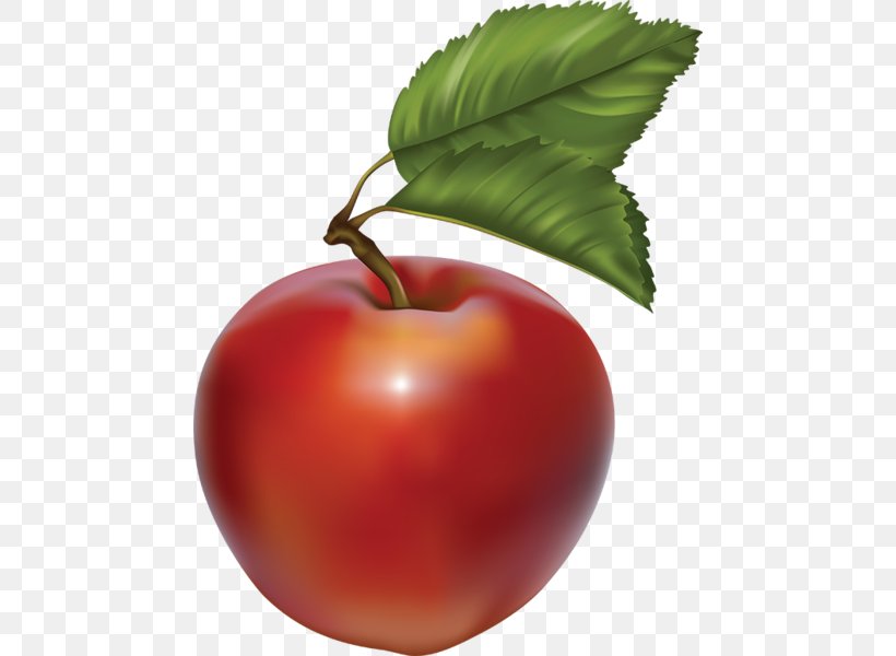 Oak Glen, San Bernardino County, California Apple Clip Art, PNG, 466x600px, Apple, Acerola, Bush Tomato, Cherry, Diet Food Download Free