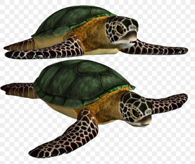Sea Turtle, PNG, 967x818px, Turtle, Box Turtle, Emydidae, Green Sea Turtle, Loggerhead Download Free