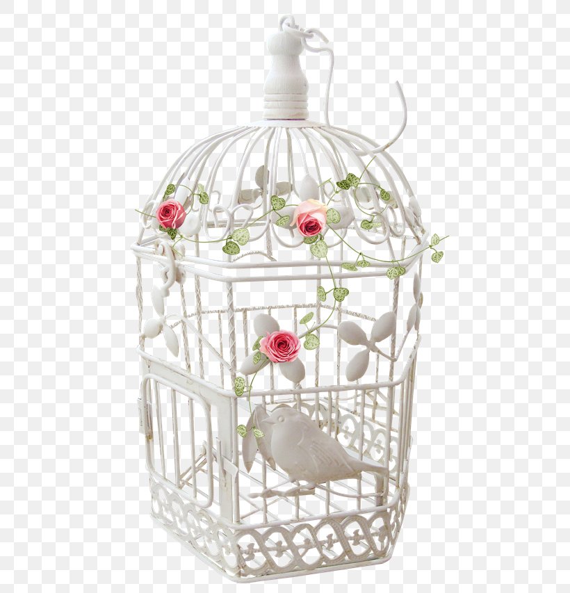Birdcage Birdcage Cell, PNG, 500x853px, Cage, Animal, Basket, Bird, Birdcage Download Free