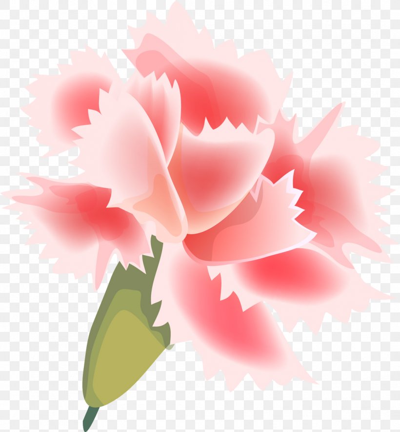 Carnation Flower Painting Garden Roses Petal, PNG, 1111x1200px, Carnation, Blossom, Denizbank, Floral Design, Flower Download Free