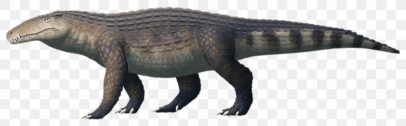 Crocodile Kaprosuchus Tyrannosaurus Terrestrisuchus Araripesuchus, PNG, 1000x310px, Crocodile, Animal Figure, Araripesuchus, Archosaur, Crocodiles Download Free
