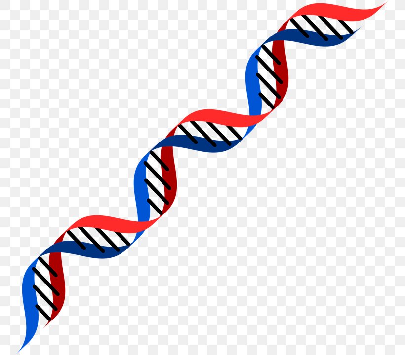 DNA Genetics RNA Genetic Testing Clip Art, PNG, 757x720px, Dna, Area, Biochemistry, Biology, Fashion Accessory Download Free