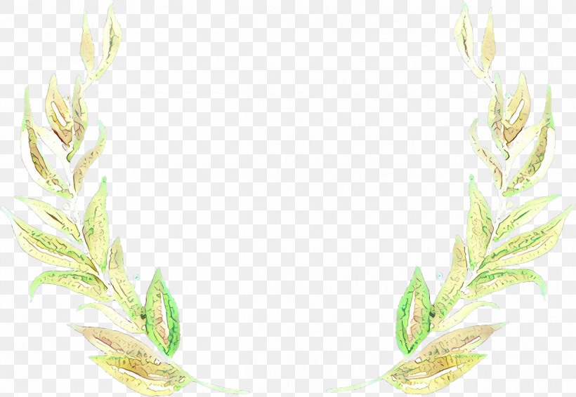 Feather, PNG, 2429x1677px, Leaf, Feather, Plant Download Free