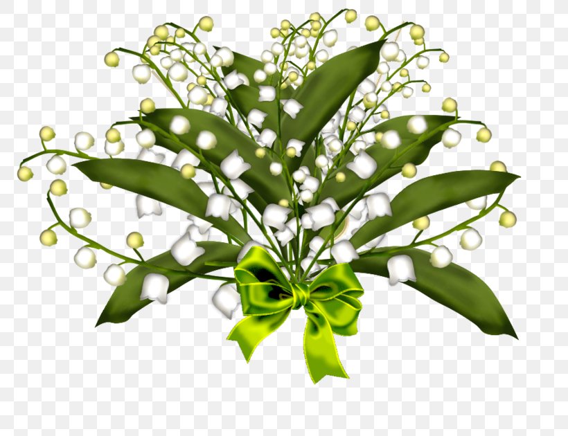 Animation Lily Of The Valley, PNG, 800x630px, 2016, Animation, Branch, Diagram, Flower Download Free