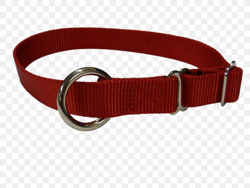 Dog Collar Dog Sled Leash, PNG, 1024x768px, Dog, Belt, Belt Buckle, Buckle, Collar Download Free