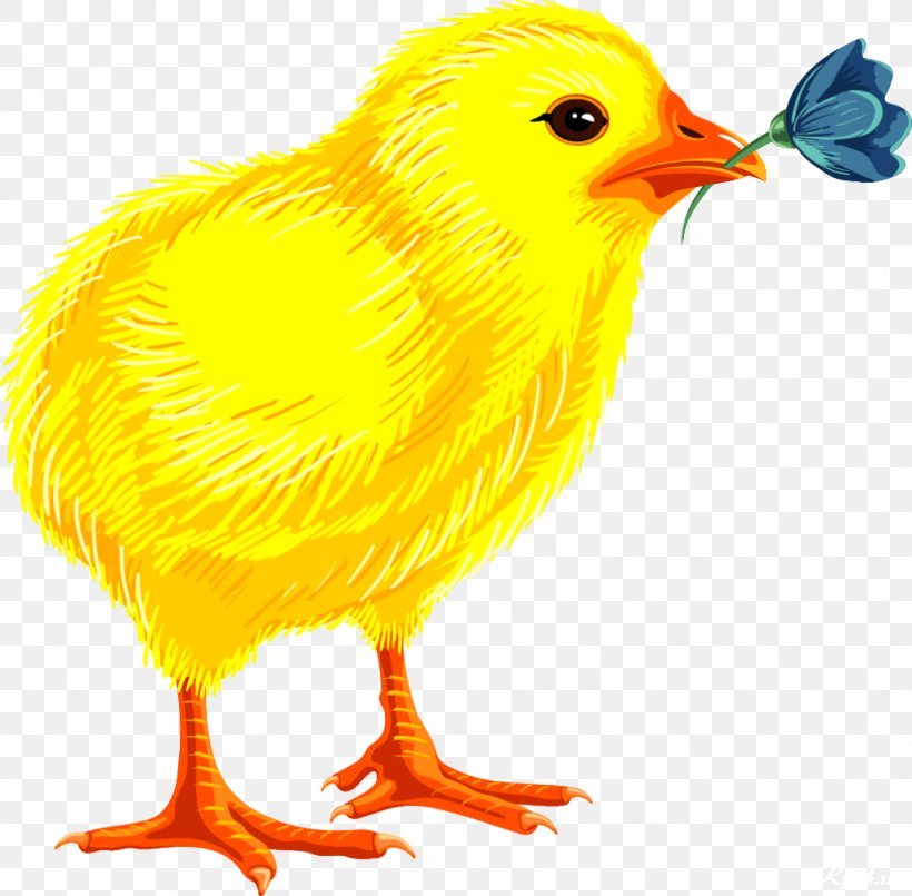 Easter Egg Clip Art, PNG, 1024x1006px, Easter, Beak, Bird, Chicken, Depositfiles Download Free