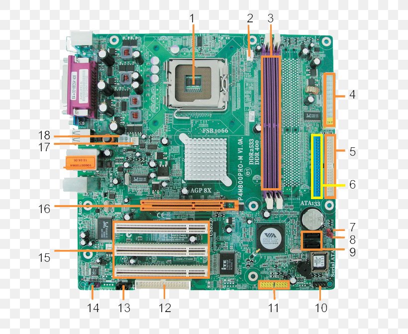 Graphics Cards & Video Adapters Computer Hardware TV Tuner Cards & Adapters Electronics Motherboard, PNG, 752x671px, Graphics Cards Video Adapters, Central Processing Unit, Computer, Computer Component, Computer Hardware Download Free
