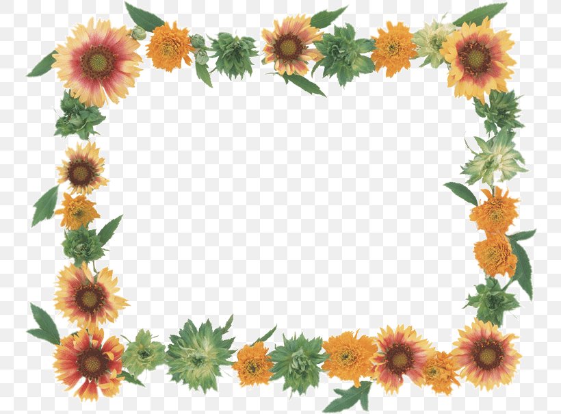 Paper Picture Frames Photography Flower Drawing, PNG, 750x605px, Paper, Chrysanths, Cut Flowers, Daisy Family, Decoupage Download Free