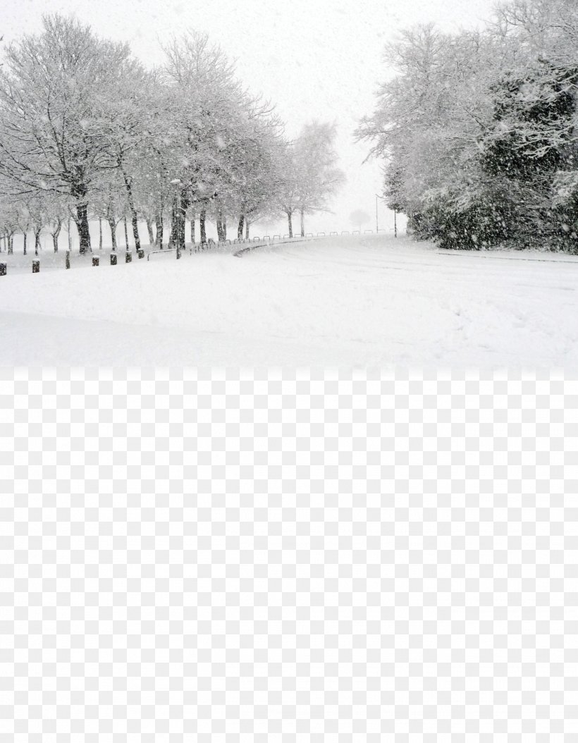 Snow Stock.xchng Stock Photography Winter, PNG, 2625x3375px, Snow, Black And White, Blizzard, Freezing, Frost Download Free