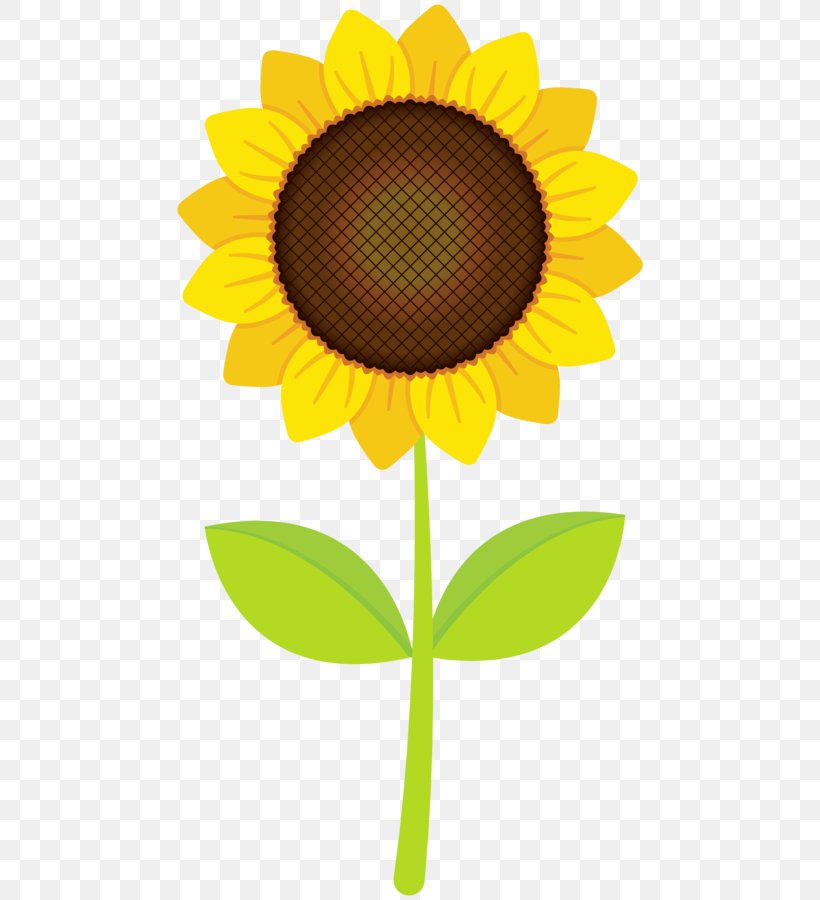 Clip Art, PNG, 470x900px, Keynote, Asterales, Common Sunflower, Computer, Daisy Family Download Free