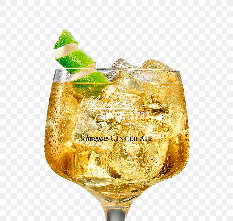 Cocktail Garnish Ginger Ale Gin And Tonic Vodka, PNG, 625x777px, Cocktail Garnish, Cocktail, Drink, Gin, Gin And Tonic Download Free
