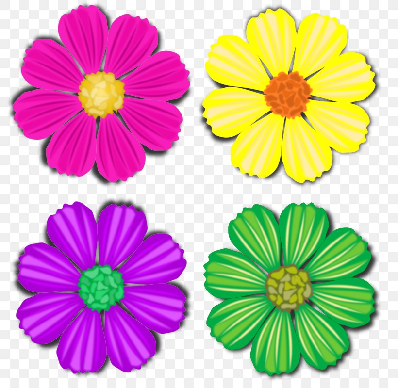 Cut Flowers SafeSearch Common Daisy Clip Art, PNG, 800x800px, Flower, Annual Plant, Chrysanths, Common Daisy, Cut Flowers Download Free