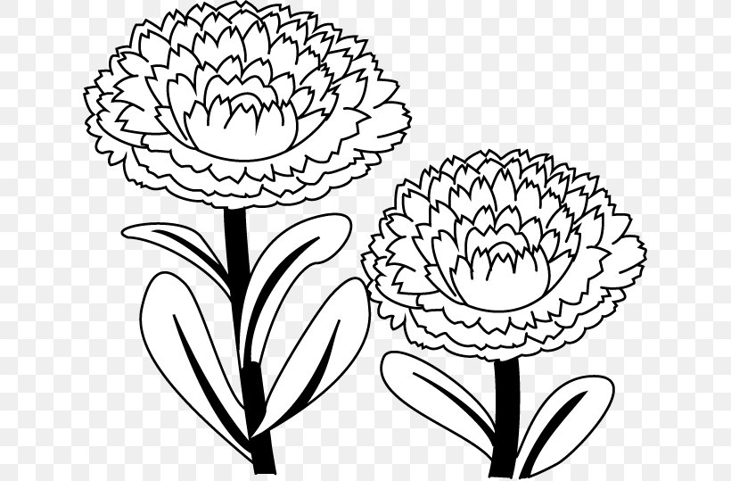 Floral Design English Marigold Drawing Illustration Flower, PNG, 633x539px, Floral Design, Art, Artwork, Black And White, Coloring Book Download Free