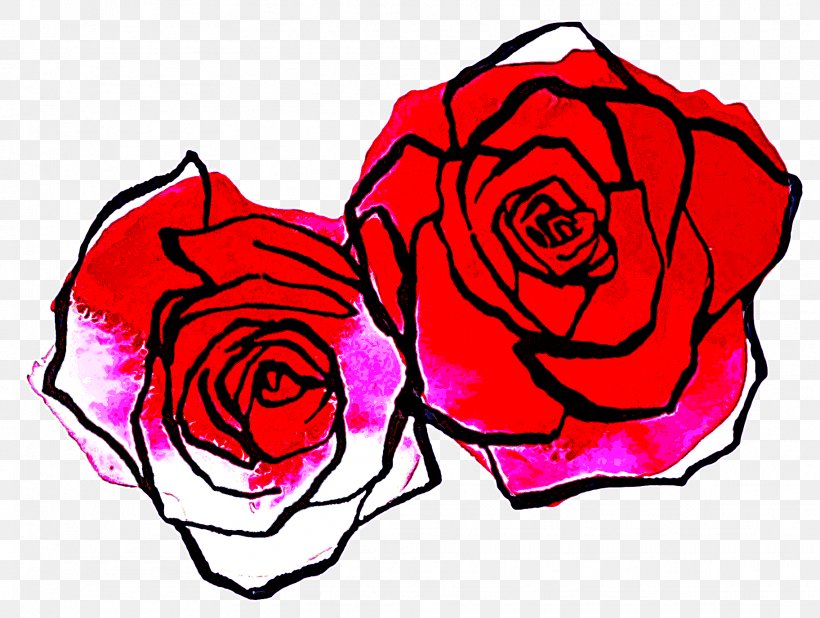 Garden Roses, PNG, 1824x1376px, Garden Roses, Flower, Hybrid Tea Rose, Petal, Pink Download Free