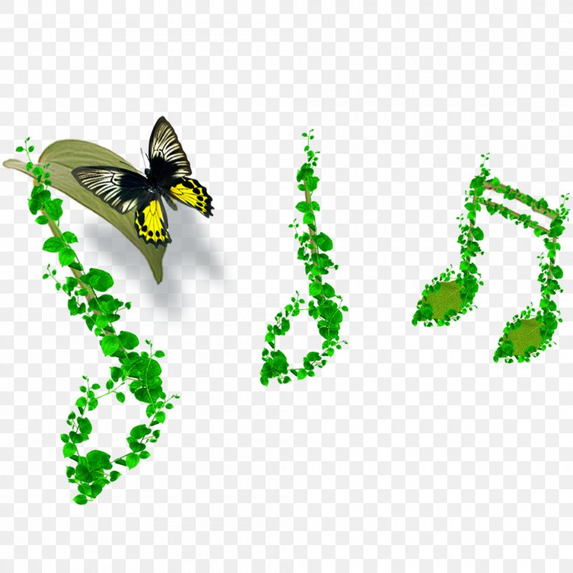 Violin Musical Note Musical Instrument String, PNG, 1000x1000px, Watercolor, Cartoon, Flower, Frame, Heart Download Free