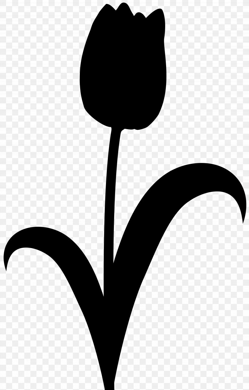 Clip Art Leaf Plant Stem Silhouette Line, PNG, 5113x8000px, Leaf, Black Cat, Black M, Blackandwhite, Botany Download Free