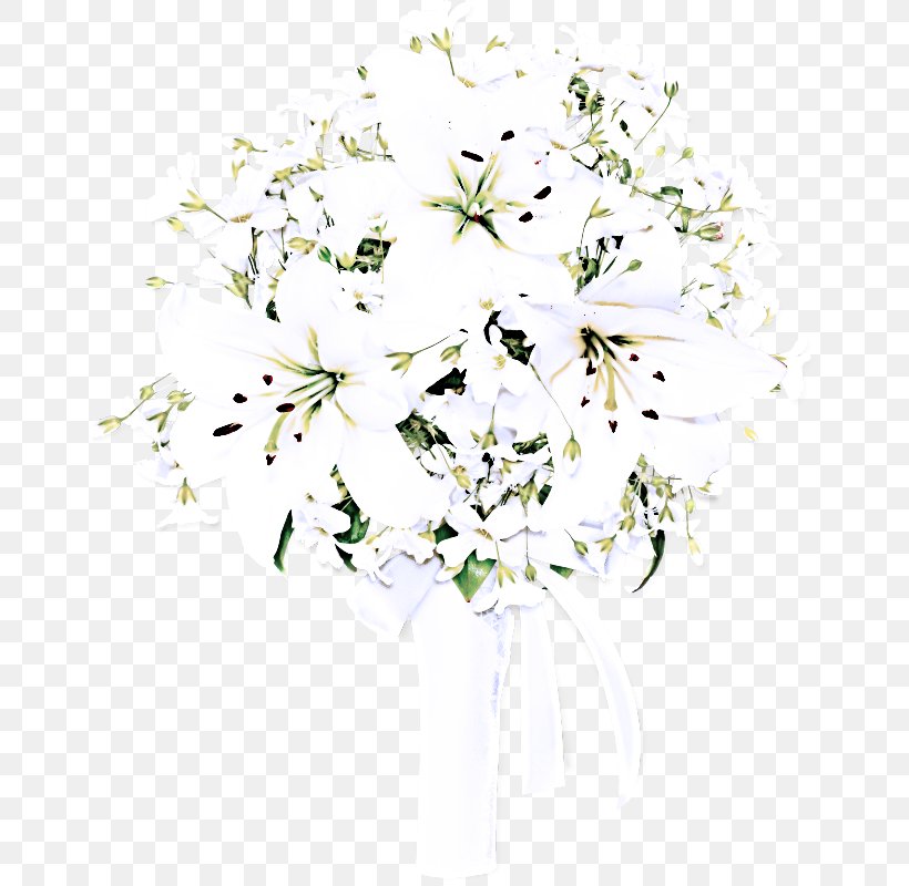 White Flower Plant Cut Flowers Bouquet, PNG, 661x800px, White, Bouquet, Cut Flowers, Flower, Heracleum Plant Download Free