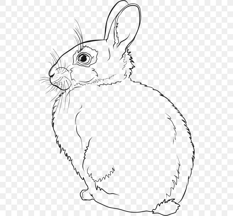 Hare Easter Bunny Line Art Rabbit Drawing, PNG, 552x760px, Hare, Art, Artwork, Black And White, Cat Download Free