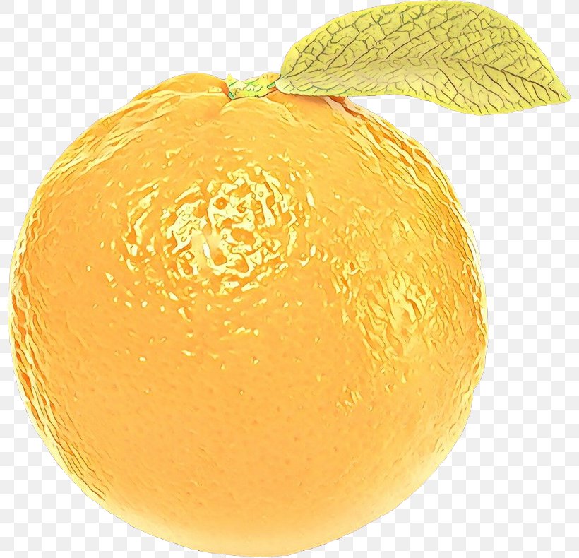 Lemon, PNG, 800x790px, Cartoon, Bitter Orange, Citron, Citrus, Clementine Download Free