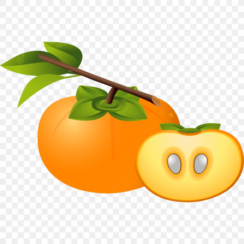 Tomato Icon, PNG, 1181x1181px, Tomato, Apple, Calabaza, Digital Data, Diospyros Download Free