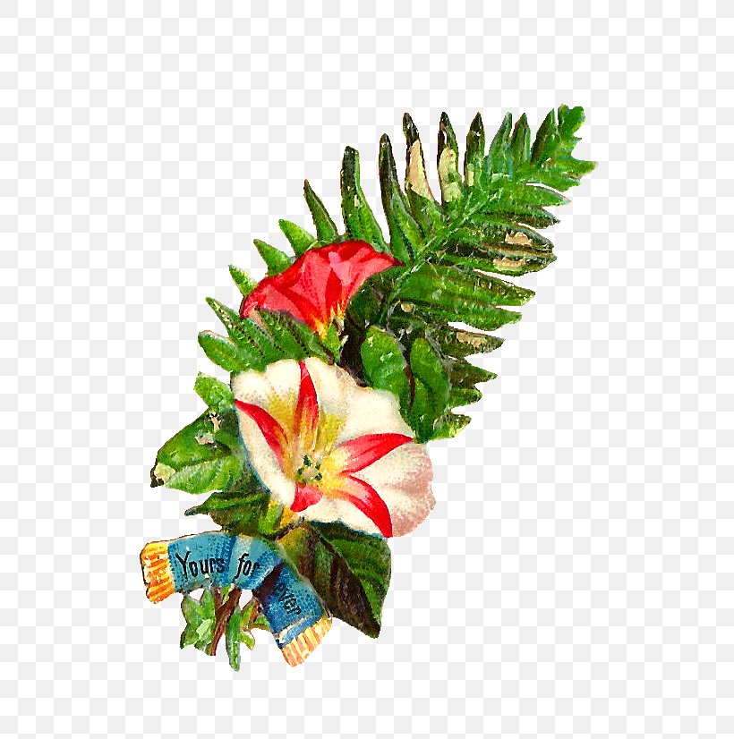 Flower Bouquet Clip Art, PNG, 727x826px, Flower, Christmas Ornament, Color, Cut Flowers, Drawing Download Free