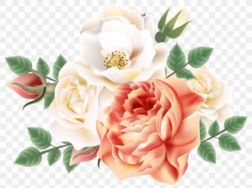 Garden Roses Cabbage Rose Still Life: Pink Roses Clip Art, PNG, 5000x3723px, Garden Roses, Artificial Flower, Cabbage Rose, Cut Flowers, Floral Design Download Free
