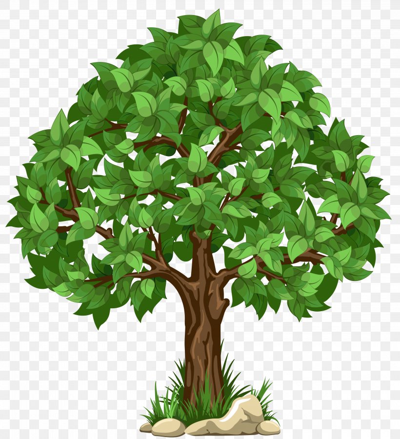Tree Clip Art, PNG, 4800x5274px, Tree, Alpha Compositing, Branch, Flowerpot, Forest Download Free