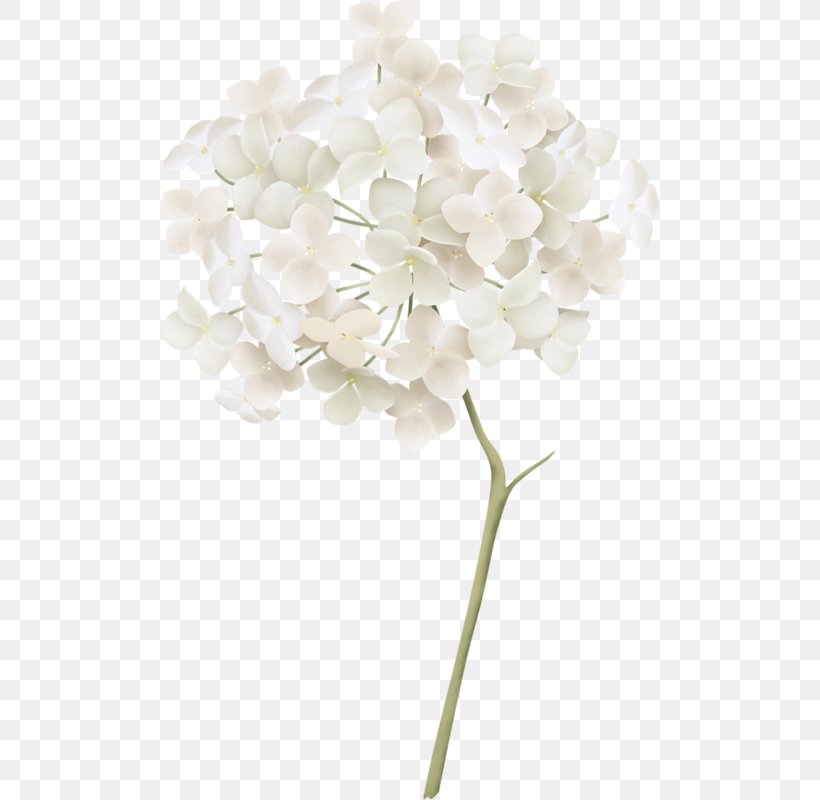 White French Hydrangea Clip Art, PNG, 499x800px, White, Cornales, Cut Flowers, Drawing, Floral Design Download Free