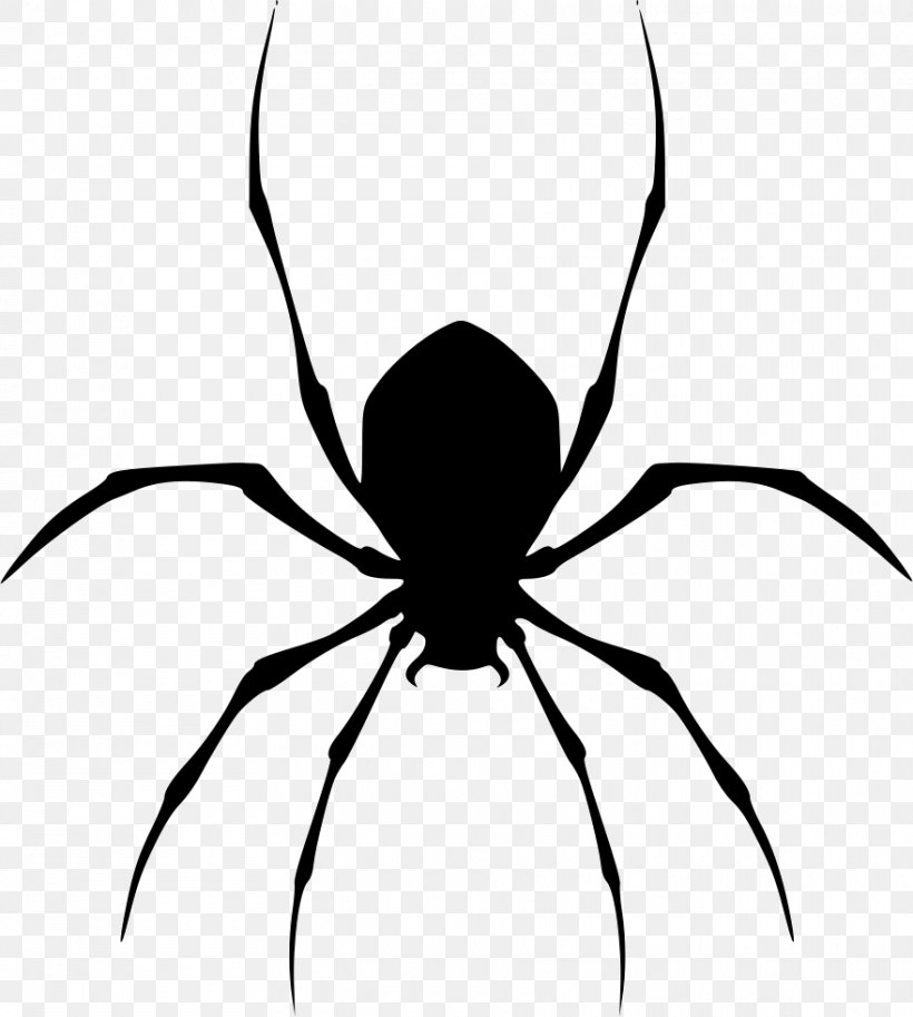 Black House Spider Clip Art, PNG, 880x980px, Spider, Arachnid, Art, Arthropod, Artwork Download Free
